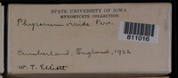 Physarum viride var. viride image